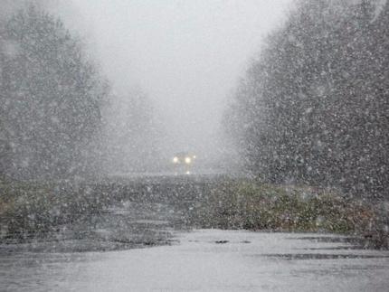 Дожди и снег прогнозируют в Иркутской области на 6 октября