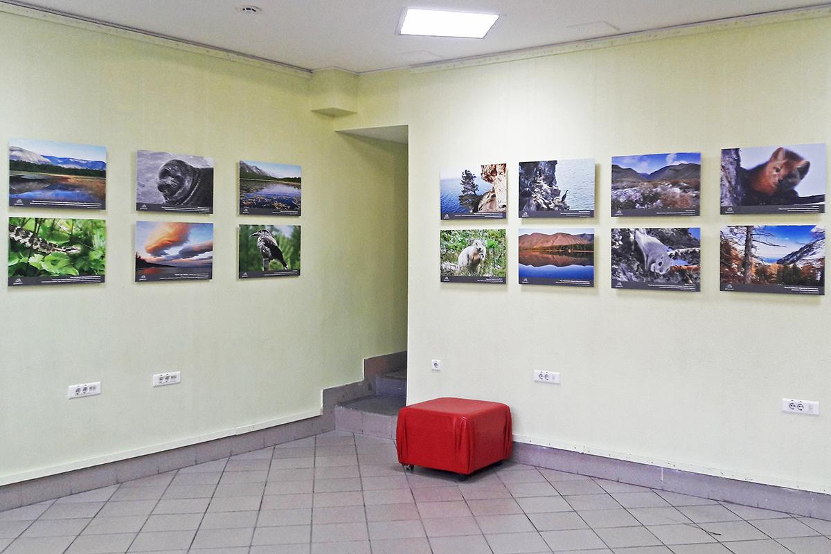 Иркутян приглашают на фотовыставку «Заповедное Прибайкалье»