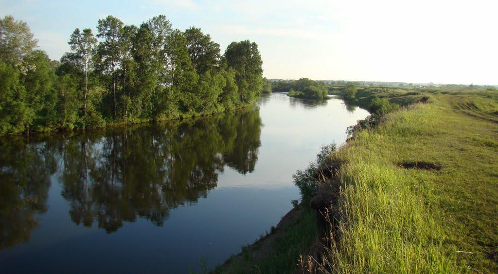 Прокуратура подала в суд иск из-за бездействия министерства природных ресурсов и экологии Иркутской области