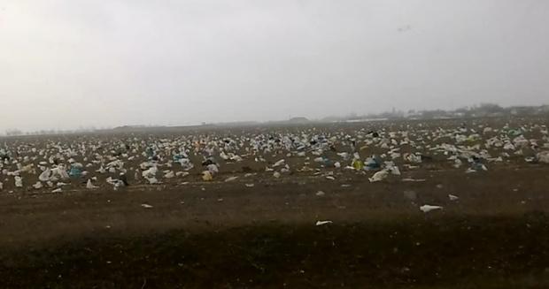 В Ангарске выявили несанкционированную свалку экологически опасных отходов
