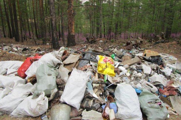 Ангарск выделит в 2018 году миллион рублей на утилизацию мусора в садоводствах