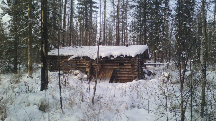 Медведь украл у охотника два ружья в Усть-Илимске