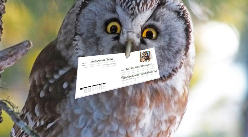 Проект «Письма животным» стартовал в Иркутске