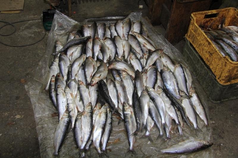 Три факта браконьерства выявили в акватории озера Байкал