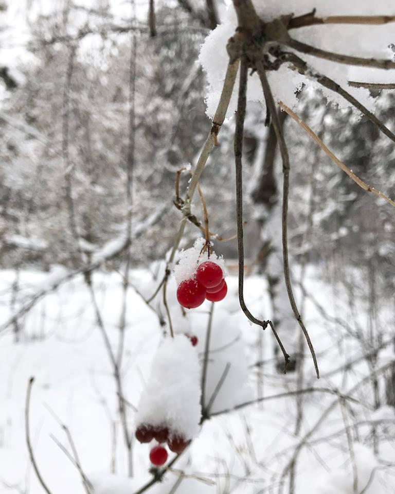 Иркутск сегодня