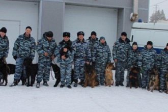 На довольствии кинологической службы ГУ МВД по Иркутской области состоят 153 собаки