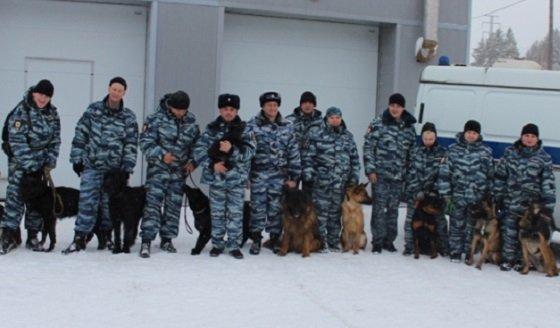 На довольствии кинологической службы ГУ МВД по Иркутской области состоят 153 собаки