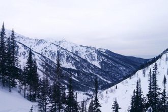 Снегопады и копытные. Косуля в опасности