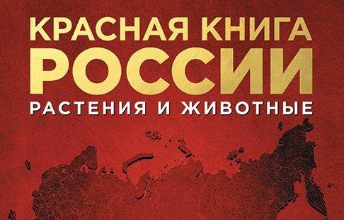 На грани исчезновения: 10 редких животных из Красной книги России - фото