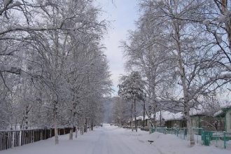 Сильные морозы ожидаются в Приангарье на выходных