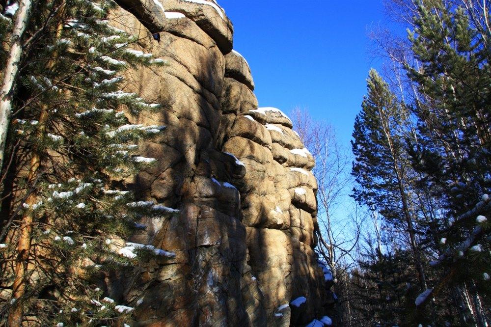 "Витязь": 50 лет стойкости