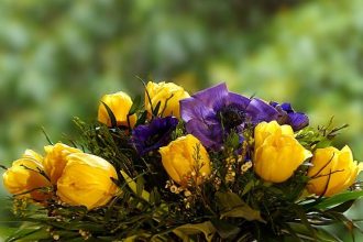 «Горзеленхоз» вырастил более 80 тысяч цветов к весенним праздникам