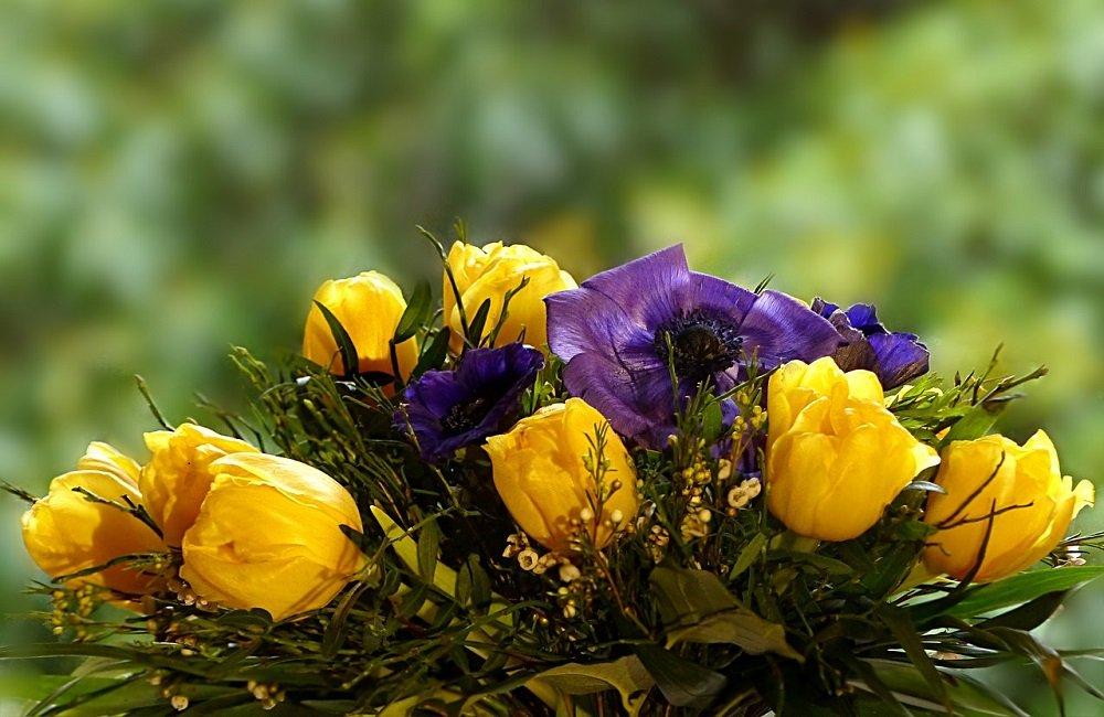 «Горзеленхоз» вырастил более 80 тысяч цветов к весенним праздникам