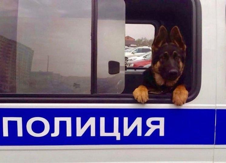 Иркутская полиция приглашает волонтеров для поисков без вести пропавших