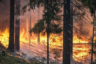 Лесопожарный период в Иркутской области придется на июнь-сентябрь