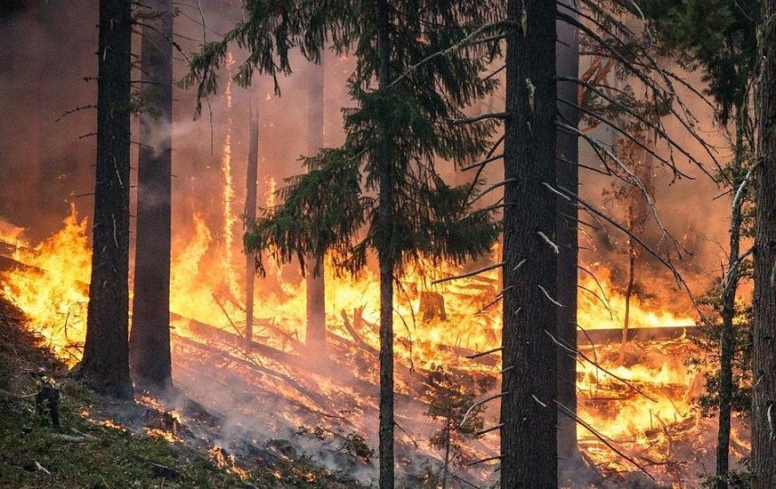 Лесопожарный период в Иркутской области придется на июнь-сентябрь