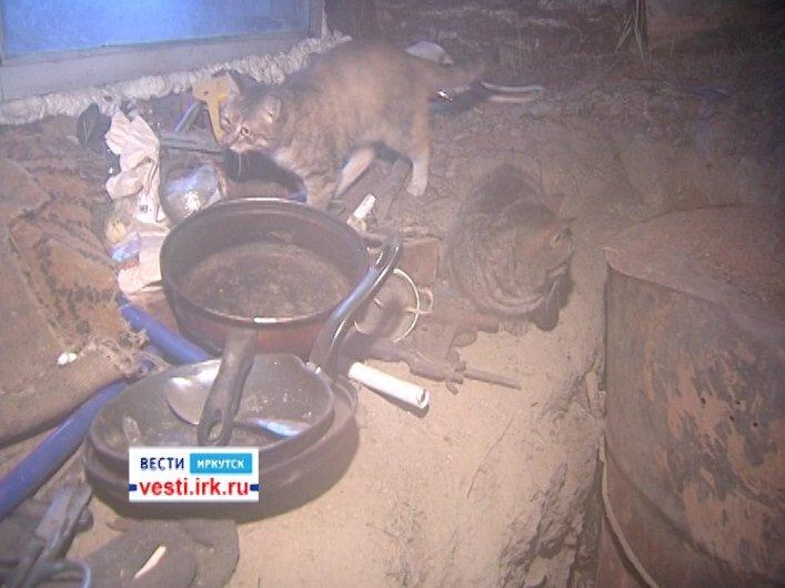 ПДН проводит проверку по факту проживания двухлетнего ребенка в лесу