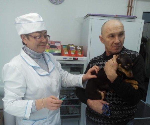 Первая ветеринарная лечебница открылась в Слюдянском районе