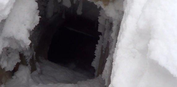 Неделя в фотографиях: граффити, сгоревший приют, Байкал, спасатели и другое