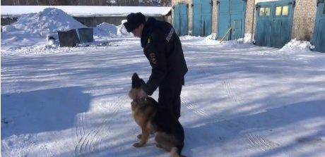 Неделя в фотографиях: цветы и Байкальский разлом