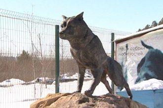 В питомнике «К-9» установили памятник псу Балто