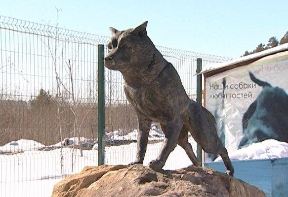 В питомнике «К-9» установили памятник псу Балто
