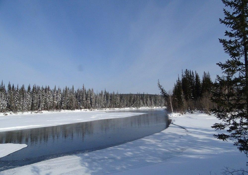 30 видов птиц зимовало в Байкало-Ленском заповеднике. Фото и видео