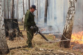 Девять лесных пожаров ликвидировали в Приангарье за сутки 26 апреля