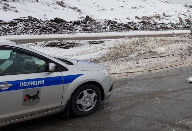 Неизвестный водитель насмерть сбил двух пешеходов в Тулунском районе