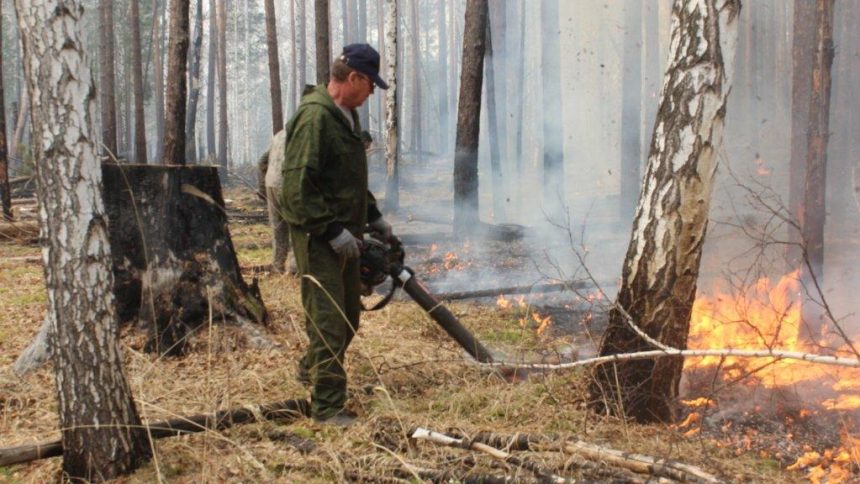 Первые лесные пожары произошли в Иркутской области