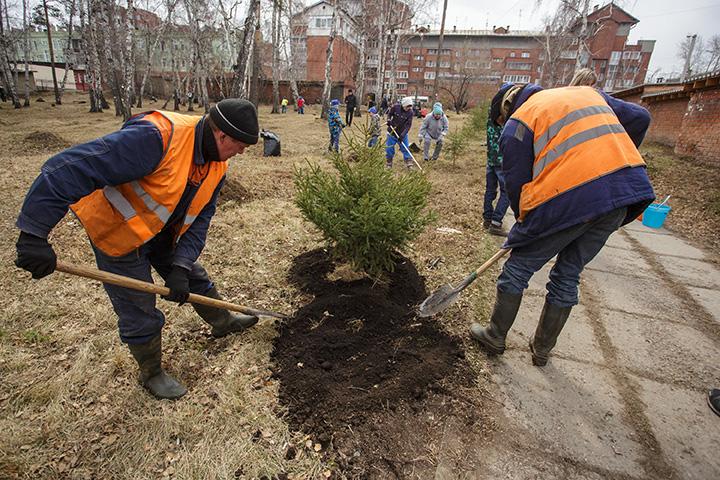 Почти две тысячи организаций примут участие в общегородском субботнике в Иркутске