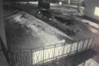 Полиция привлекла к ответственности мужчину, причастного к гибели косули в Березовом