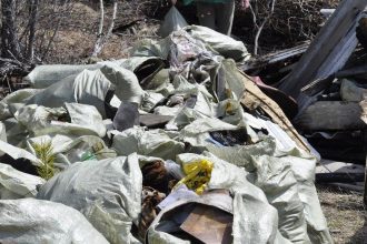 Три тонны крупногабаритного мусора собрали в Листвянском лесничестве