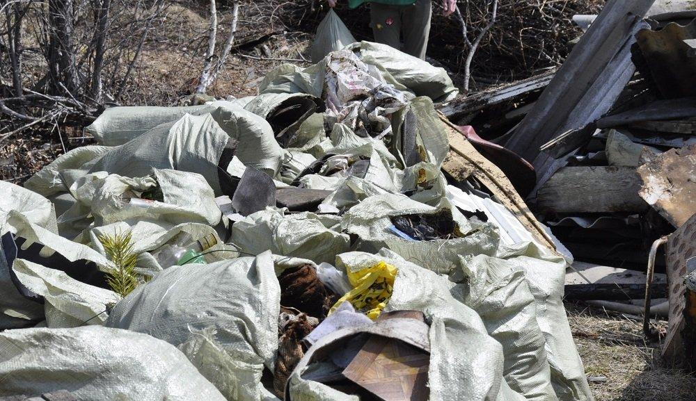 Три тонны крупногабаритного мусора собрали в Листвянском лесничестве