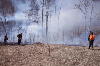 В четырех лесничествах Иркутской области обнаружены пожары