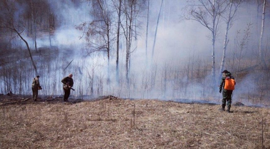В четырех лесничествах Иркутской области обнаружены пожары