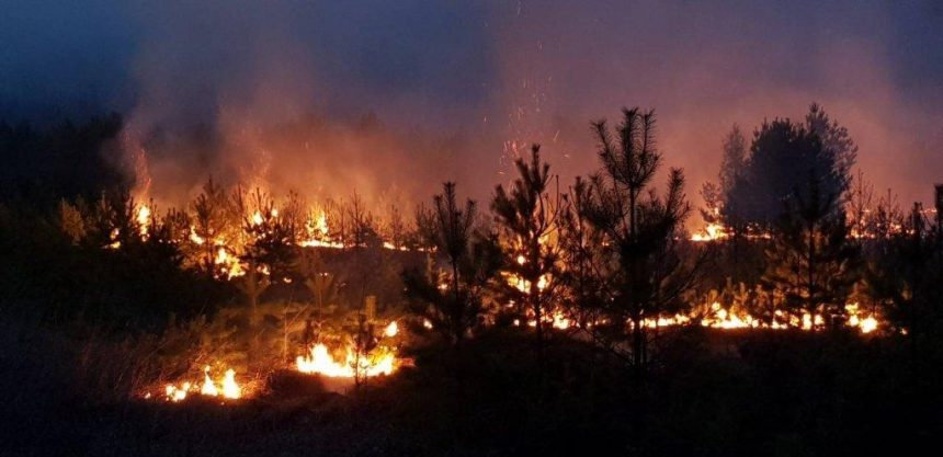 11 лесных пожаров ликвидировали в Приангарье за сутки 17 мая