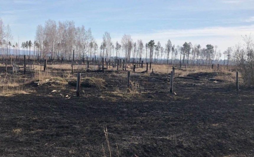 Четыре лесных пожара произошло в Приангарье 14 мая