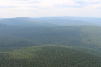 На утро 21 мая в Приангарье не зарегистрировано пожаров