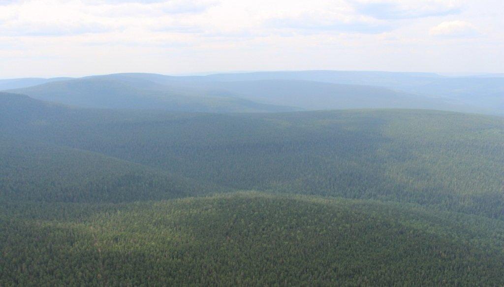 На утро 21 мая в Приангарье не зарегистрировано пожаров