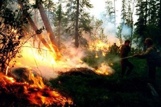 На утро 7 мая в Иркутской области нет лесных пожаров. 6 мая ликвидировано 11 возгораний