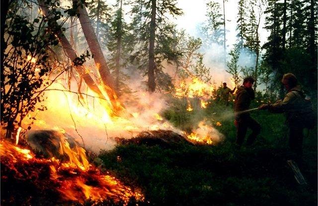 На утро 7 мая в Иркутской области нет лесных пожаров. 6 мая ликвидировано 11 возгораний