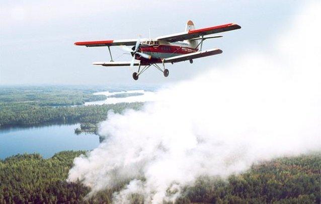 Пять лесных пожаров ликвидировано в Иркутской области 5 мая