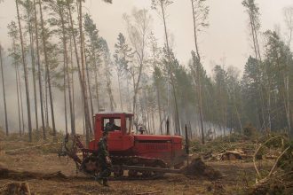 Пять лесных пожаров произошло в Приангарье за сутки 7 мая