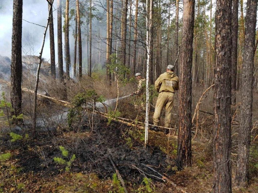 Семь лесных пожаров ликвидировано в Приангарье 10 мая. На утро 11-го пожаров нет
