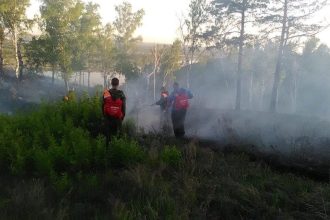 Шесть лесных пожаров ликвидировано в Приангарье 29 мая. На утро 30 мая действуют два пожара