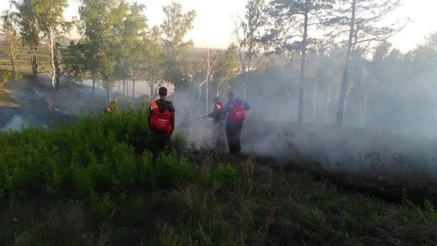 Шесть лесных пожаров ликвидировано в Приангарье 29 мая. На утро 30 мая действуют два пожара