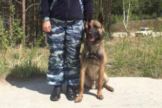 Служебная собака в Иркутске обнаружила наркотики