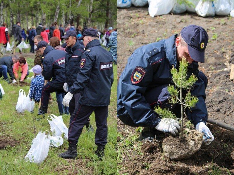 В Иркутске высадили аллею к 300-летию российской полиции
