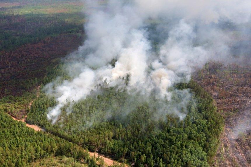 Восемь лесных пожаров ликвидировали в Иркутской области 15 мая
